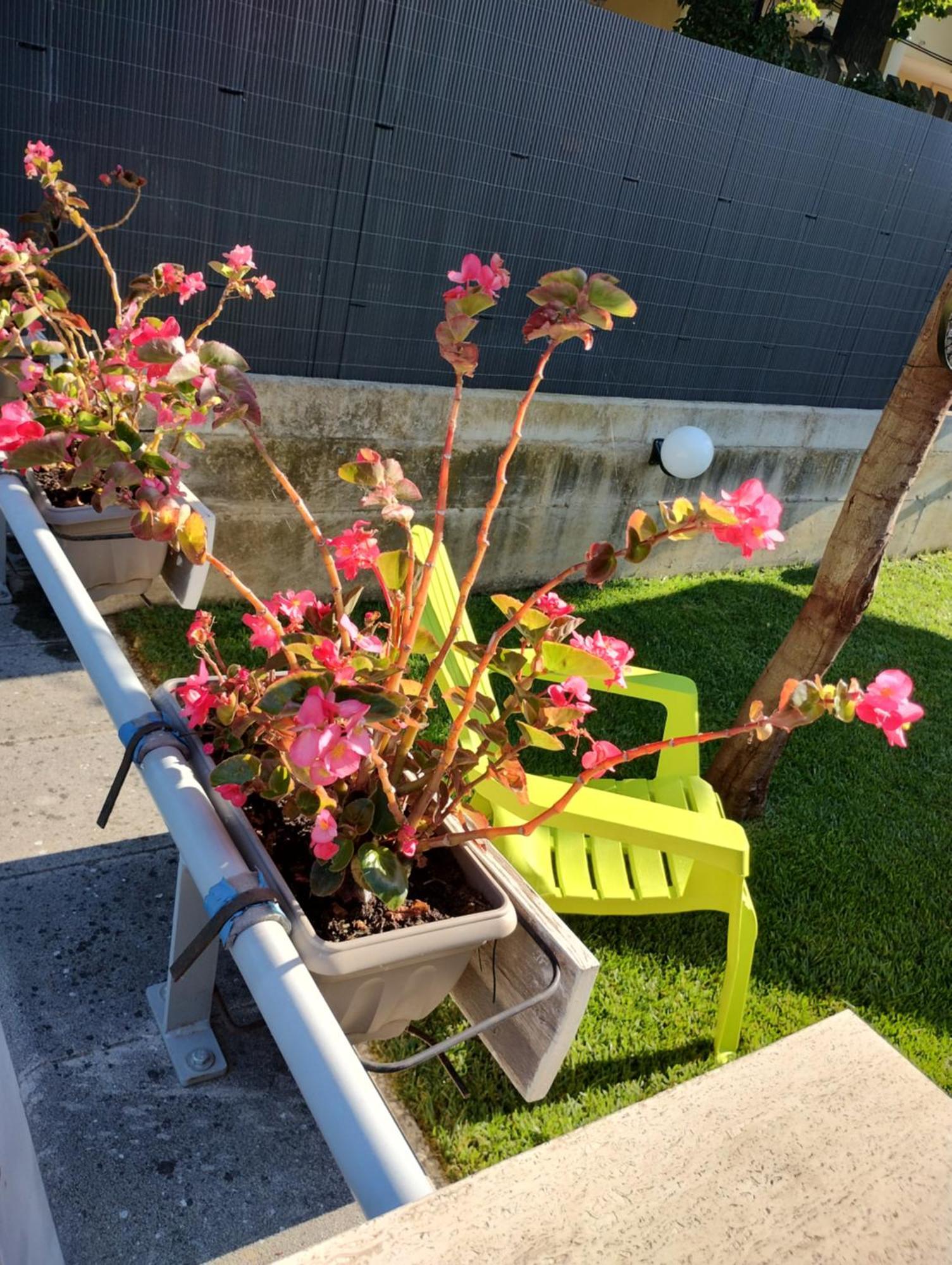 Holiday home Dolce Brezza Montesilvano